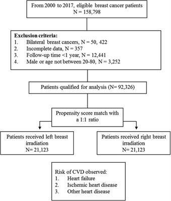Hazard-based risk grouping effectively stratifying breast cancer patients in post-irradiation long-term heart diseases: a population-based cohort study